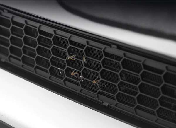 Tesla Model Y Front Bumper Insect Protector